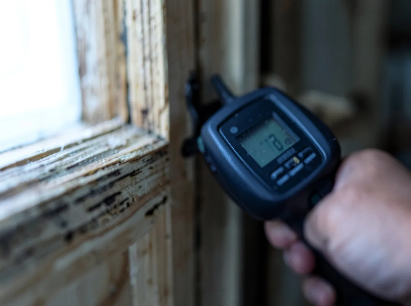 Moisture Inspection And Documentation in Rifton, NY
